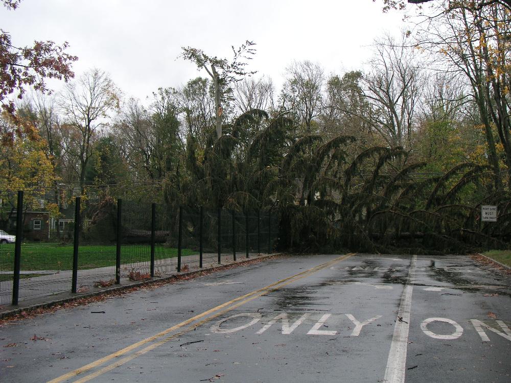 Disaster Operations 4